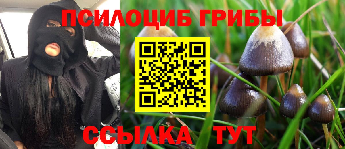 Псилоцибиновые грибы прущие грибы  Вход с VPN  Клинцы 